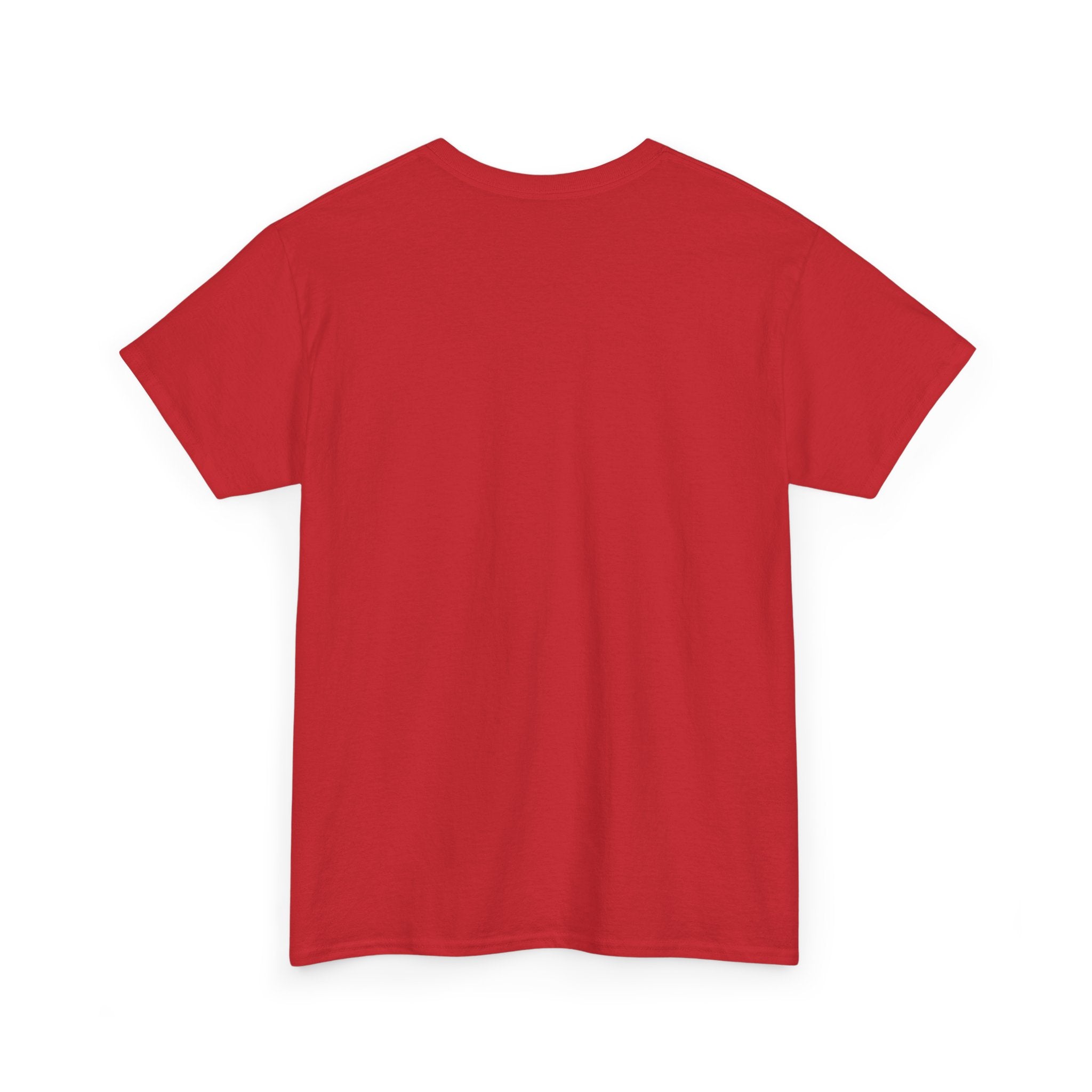 T-Shirt — 'DIC(K)-T(r)a(i)TOR' Wordplay Graphic Tee