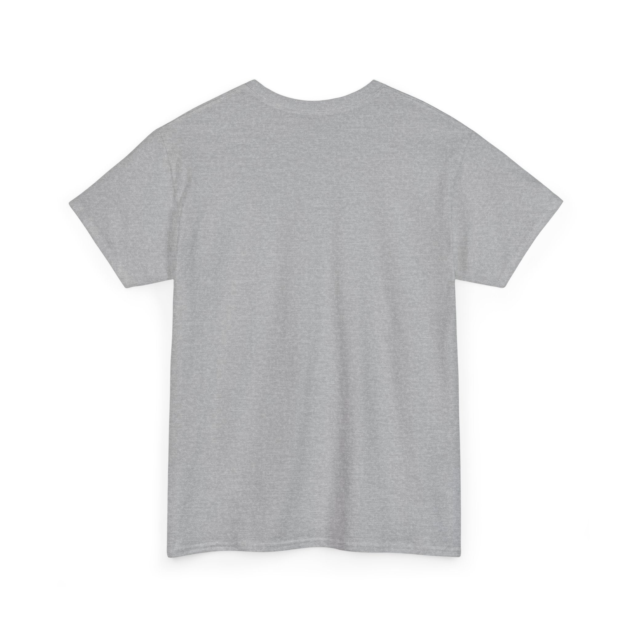 T-Shirt — 'DIC(K)-T(r)a(i)TOR' Wordplay Graphic Tee