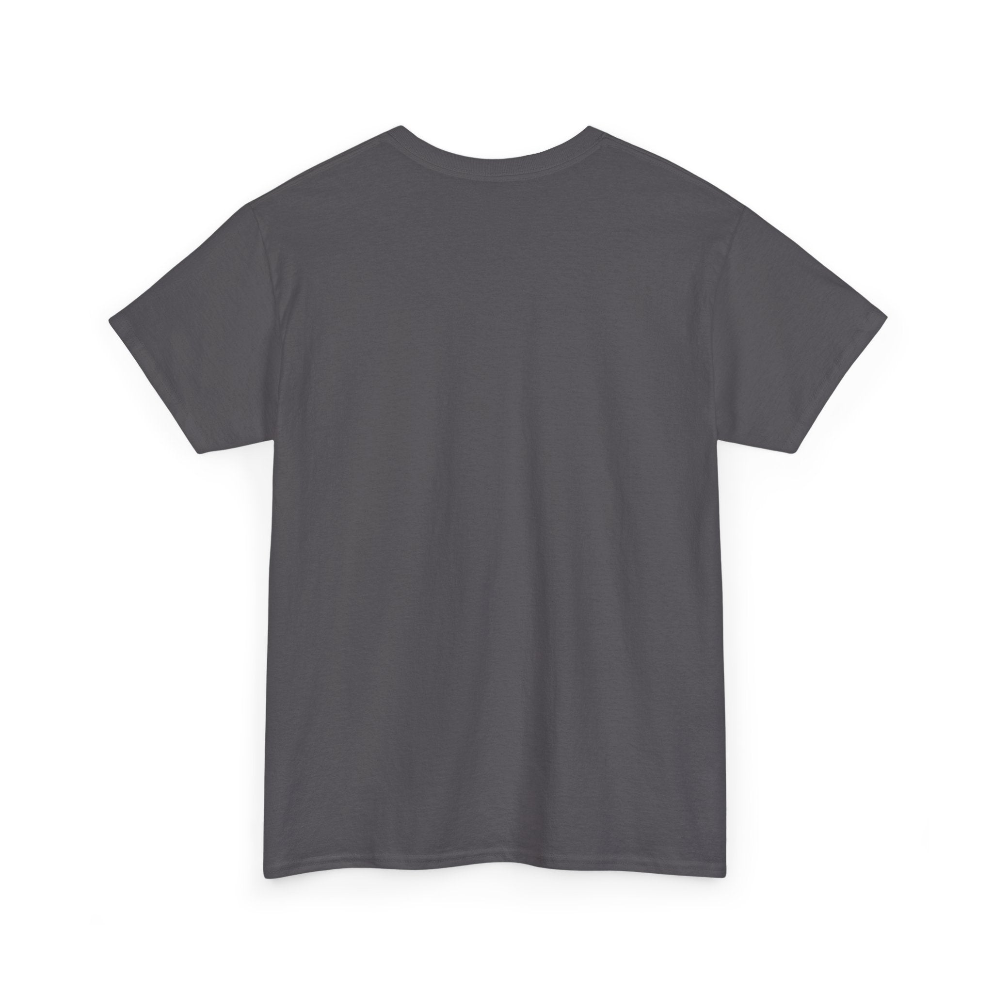 T-Shirt — 'DIC(K)-T(r)a(i)TOR' Wordplay Graphic Tee