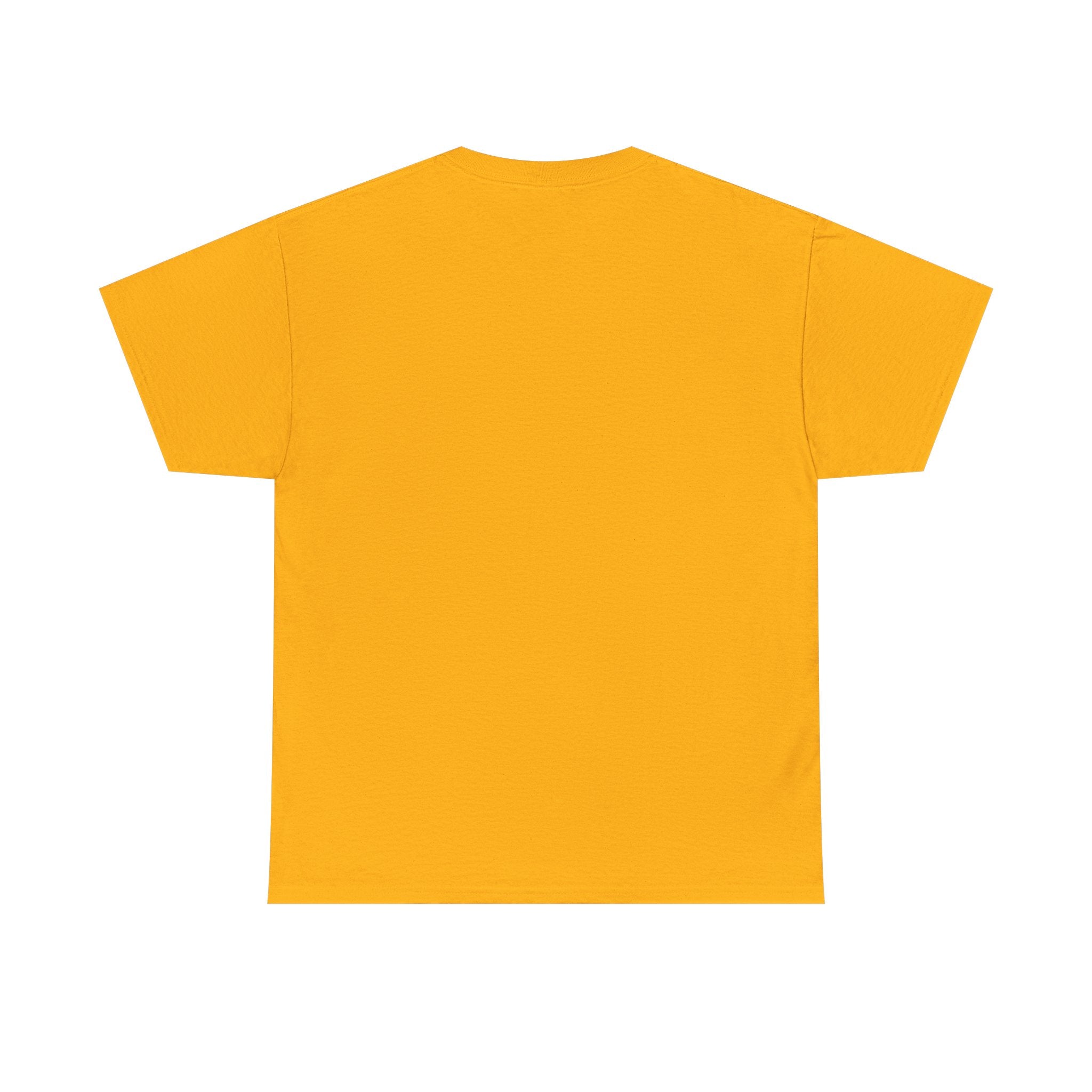 T-Shirt — 'DIC(K)-T(r)a(i)TOR' Wordplay Graphic Tee