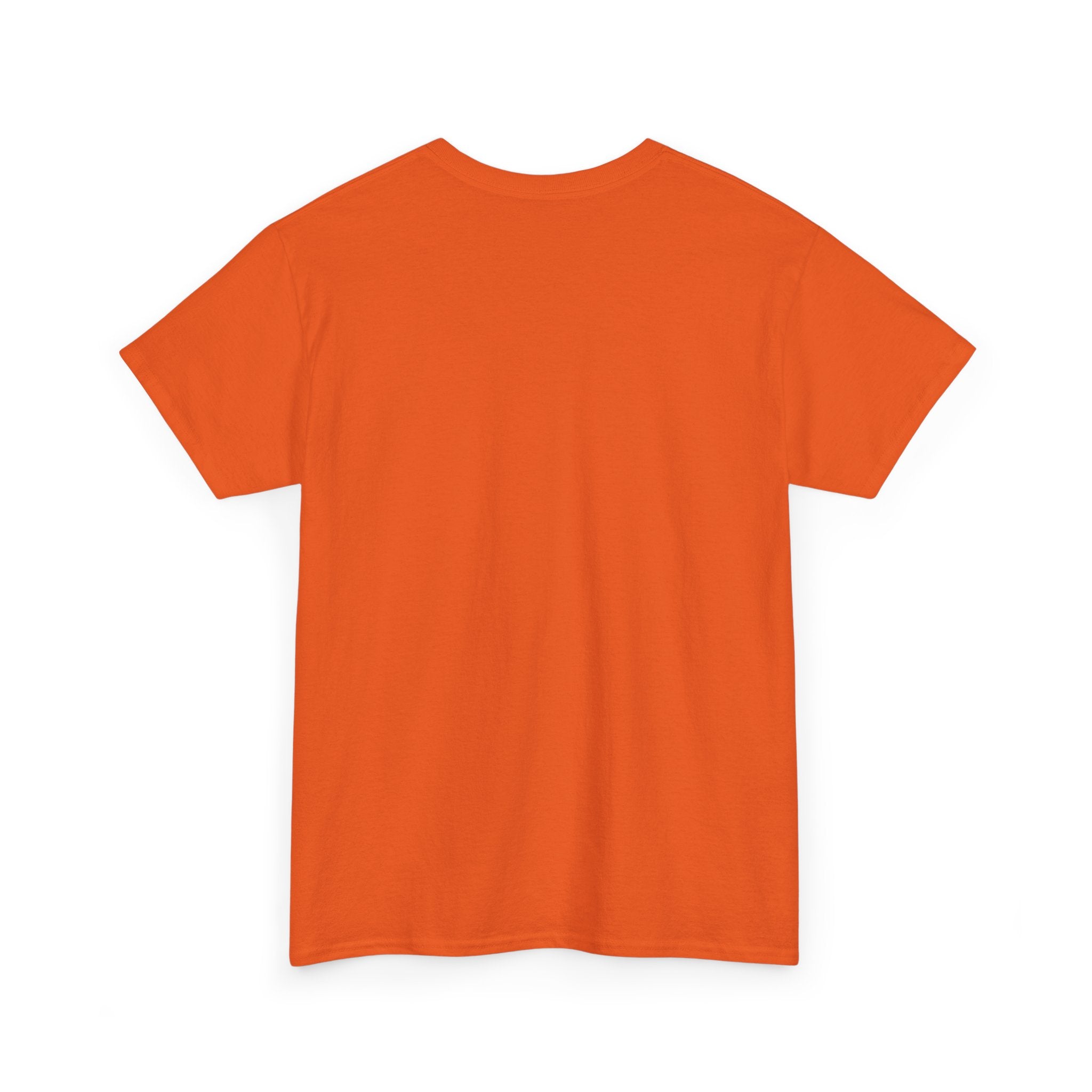 T-Shirt — 'DIC(K)-T(r)a(i)TOR' Wordplay Graphic Tee