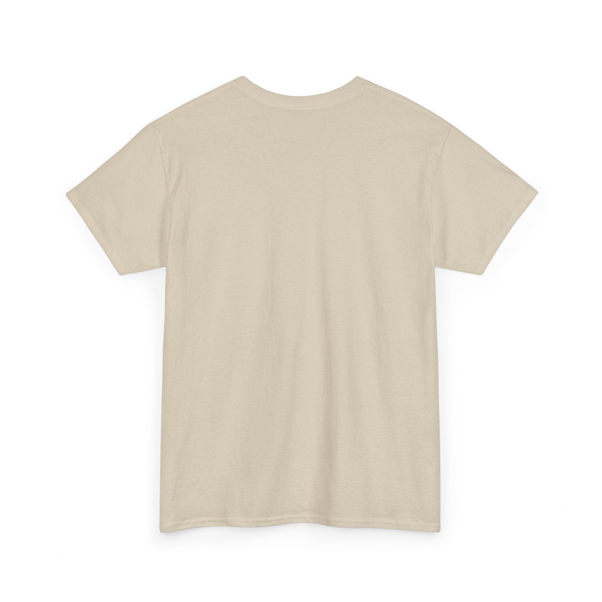 T-Shirt — 'DIC(K)-T(r)a(i)TOR' Wordplay Graphic Tee